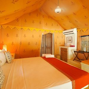Luxury  Tent